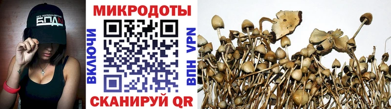 blacksprut рабочий сайт  Волгоград  Галлюциногенные грибы MAGIC MUSHROOMS 