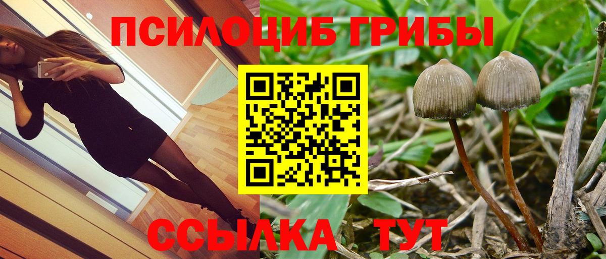 Галлюциногенные грибы GOLDEN TEACHER Волгоград