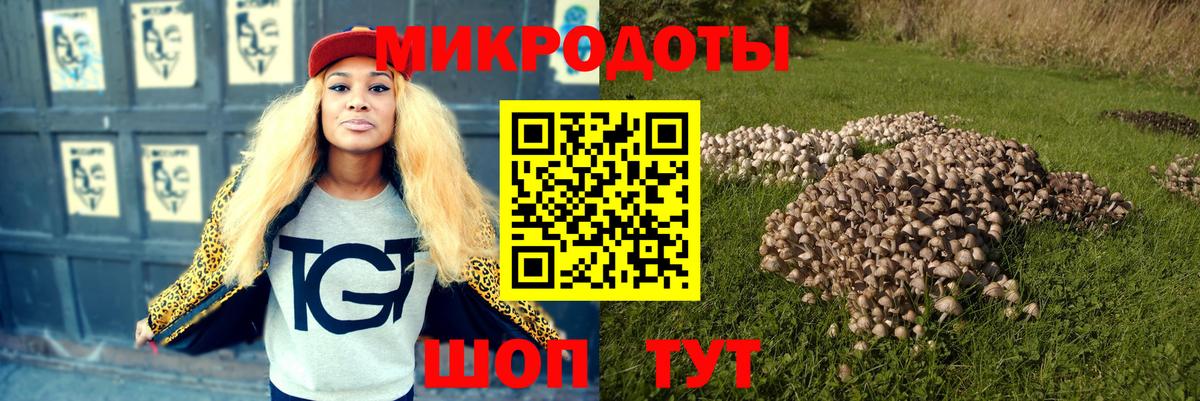 дарнет шоп  Волгоград  Галлюциногенные грибы прущие грибы  Галлюциногенные грибы мухоморы 